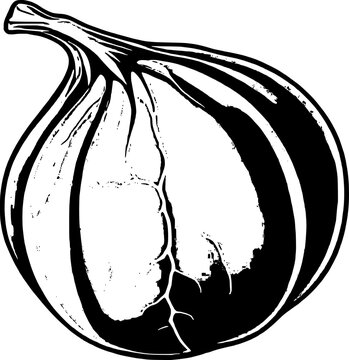 black and white fig fruit clip art preview