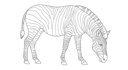 Peaceful Quiet Zebra Grazing Design for Relaxing Adult Coloring Time
