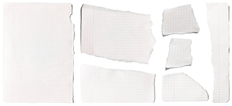Set of torn paper of Graph notebook  on transparent backgorund	