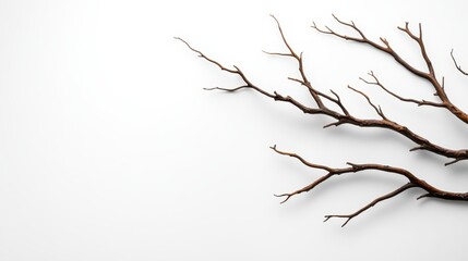 Obraz premium A stylish, twisted branch lying atop a pristine white canvas, offering a stark contrast that emphasizes its organic beauty and unique artistic presence in design.