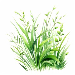 Fototapeta premium Lush Green Grass Watercolor Painting, Vibrant and Full of Life, a Tranquil Nature Scene