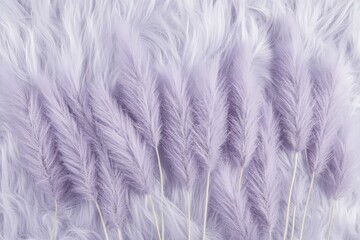 Obraz premium Close-up view of many delicate, light purple plumes.