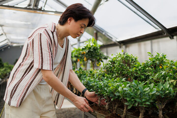 Asian florist putting bonsai on shelf in garden center