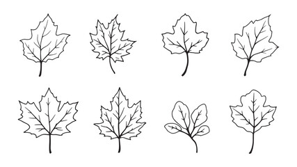 Obraz premium Fall leaf line art illustration in minimalist design style