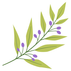 wild floral in isolated white