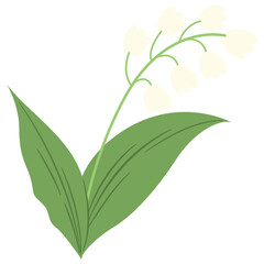 lily of the valley illustration