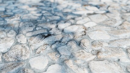 Close up view of a stone pavement, highlighting the texture and pattern of the rocks and grout, creating a rustic, natural pathway