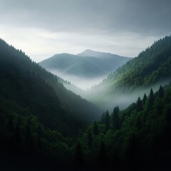 Fototapeta premium Foggy mountain forest valley