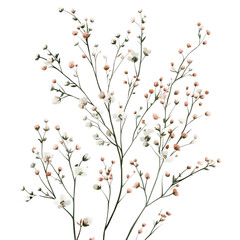 Minimal Pastel Beige Botanical Branch – Watercolor Elegant Nature PNG for Stationery, Wedding Invitations, and Decoration Projects