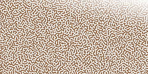 Abstract Reaction-diffusion Turing pattern natural texture brown gradient color scheme. Linear design with biological algorithm psychedelic background. Reaction-diffusion or truing patter
