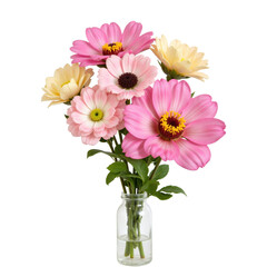 A vibrant bouquet of pink and cream daisies in a clear glass vase, perfect for home decor or gifting.