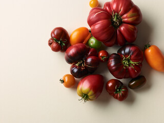Sweet farm tomatoes over beige background