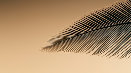 Obraz premium Elegant Silhouette of Palm Leaf Against Soft Gradient Background