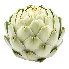 Fototapeta premium Artichoke png fresh artichoke png green vegetable png healthy food png whole artichoke png white background image