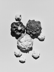 black and white photo of fresh cabbage, broccoli, cauliflower