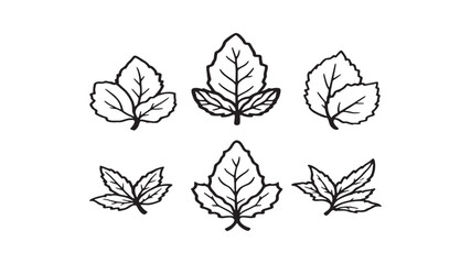 Mint leaf line art minimalist botanical illustration for prints