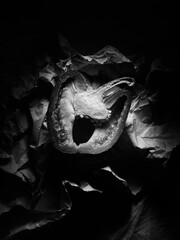 Abstract concept of food waste. Vintage food background photo