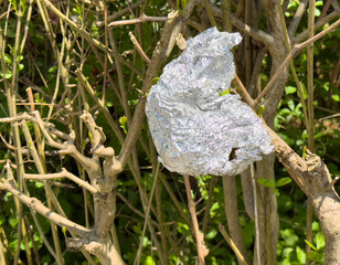 Crumpled aluminum foil caught in bare bush branches outdoors