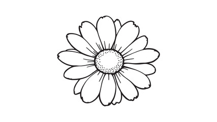 Common daisy blossom line art floral design elegant nature sketch