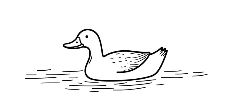 Charming hand-drawn vector illustration of a duck, ideal for nature-themed projects, greeting cards, and children's materials. Add whimsy and warmth to designs with this delightful artwork!