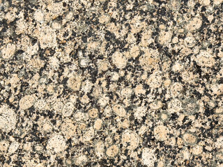Granite texture with natural gray and beige speckled pattern