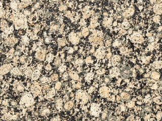 Closeup of polished granite stone surface with speckled pattern