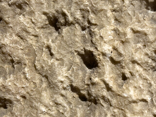 Rough beige rock surface with natural texture and indentations