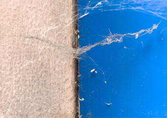 Close-up of spider web on blue and beige surface