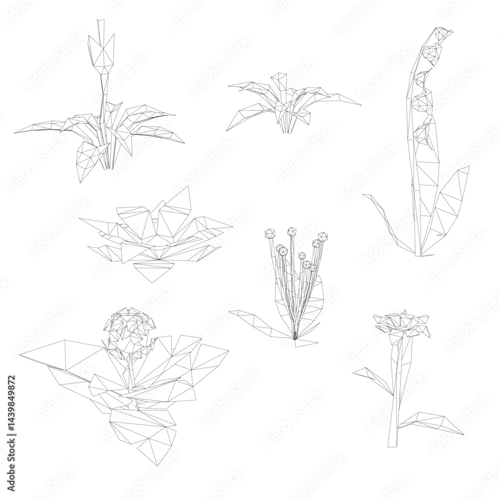 Poster a series of drawings of flowers in black and white. the drawings vary in size and style, but all fea