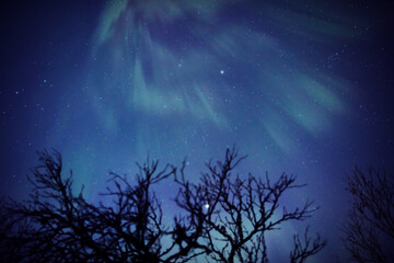 Aurora borealis, polar lights with Milky Way stars.