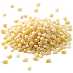Corn seeds png maize seeds png raw corn kernels png dry corn seeds png yellow corn seeds png white background image