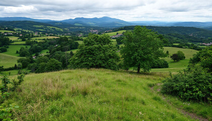 Obraz premium Vivid Green Hillscape: A panoramic vista unfolds, featuring a gentle green hill in the foreground giving way to a sprawling valley under an overcast sky, with vibrant trees scattered across.