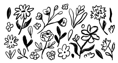 Abstract ink floral botany elements in doodle style. Drawing drawing wild plants and flowers. Hand drawn botanical illustrations. © Nastya