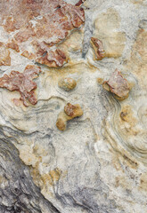Weathered Rock Surface with Swirling Natural Patterns and Embedded Formations. A stone surface showing weathered layers, swirling patterns, and embedded rock formations in natural earth tones.