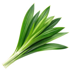 Obraz premium Fresh pandan leaves png pandanus leaves png aromatic leaves png tropical herb png pandan leaves set png white background image