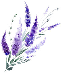 Bouquet made of watercolor lavender flowers. Purple wildflowers wedding isolated illustration © katrinshine