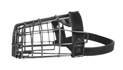 dog muzzle isolated on transparent background.