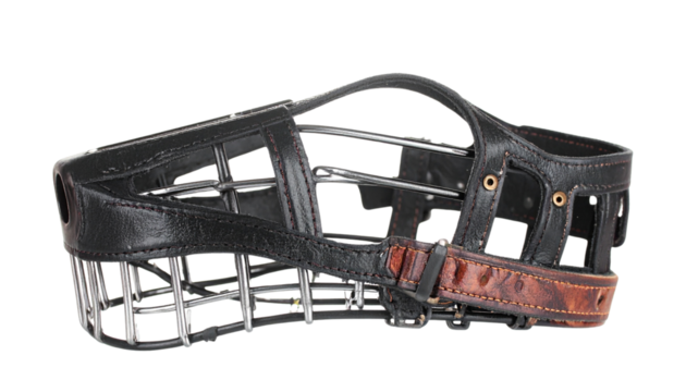dog muzzle isolated on transparent background