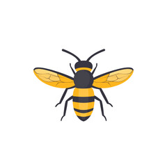 Honeybee Illustration Top View of a Bumblebee with Yellow and Black Stripes