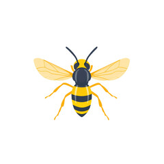 Obraz premium Vibrant Cartoon Bee Illustration Top-Down View of a Honeybee