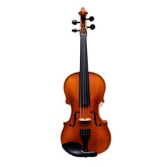 Obraz premium A beautifully crafted violin with a rich, warm tone and intricate details.