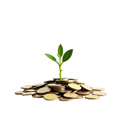 Growing Plant Sprouting from a Pile of Gold Coins