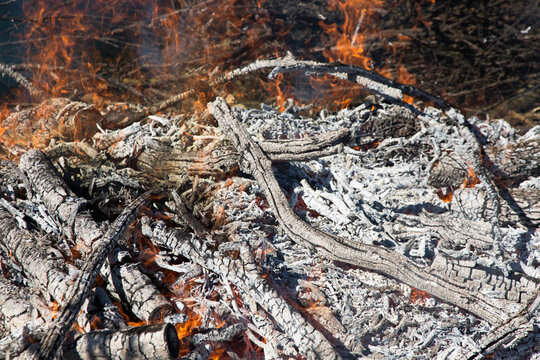 Grey ash and embers in a fire