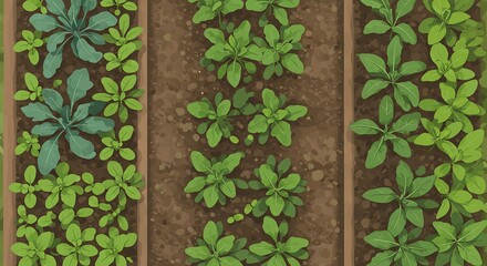 Organically cultivated young crops in neat rows, offering a vision of farm freshness and sustainable agriculture