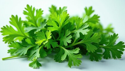Fototapeta premium Intricate parsley sprig arrangement, vibrant green hues, leaves, art, pattern
