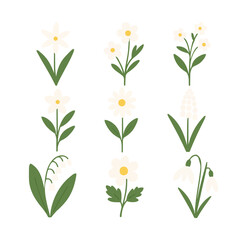 Minimalist Flat Vector Set of Spring Flowers on Isolated Background include lily of the valley Drawing