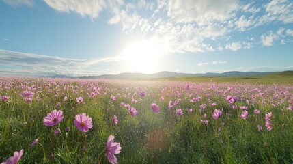 Fototapeta premium Cosmos Dreamscape