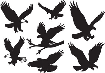 vector silhouettes of birds