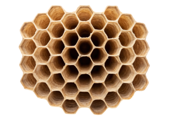 Close up of a honeycomb structure.