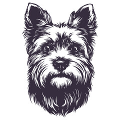 beaver Yorkshire terrier, a funny little dog , hand drawn vector illustration sketch